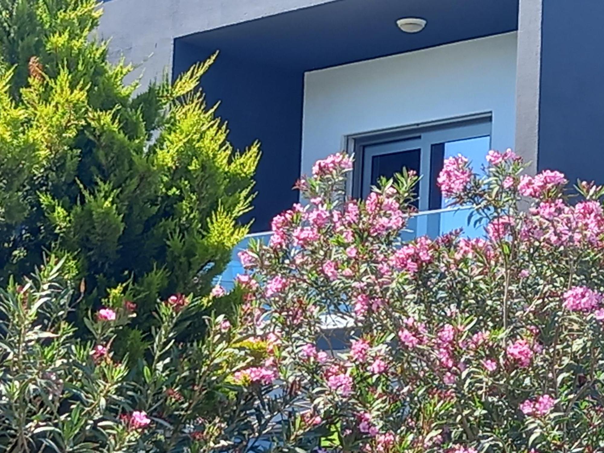 Çeşme マヴィ パノラマヴィラ エクステリア 写真