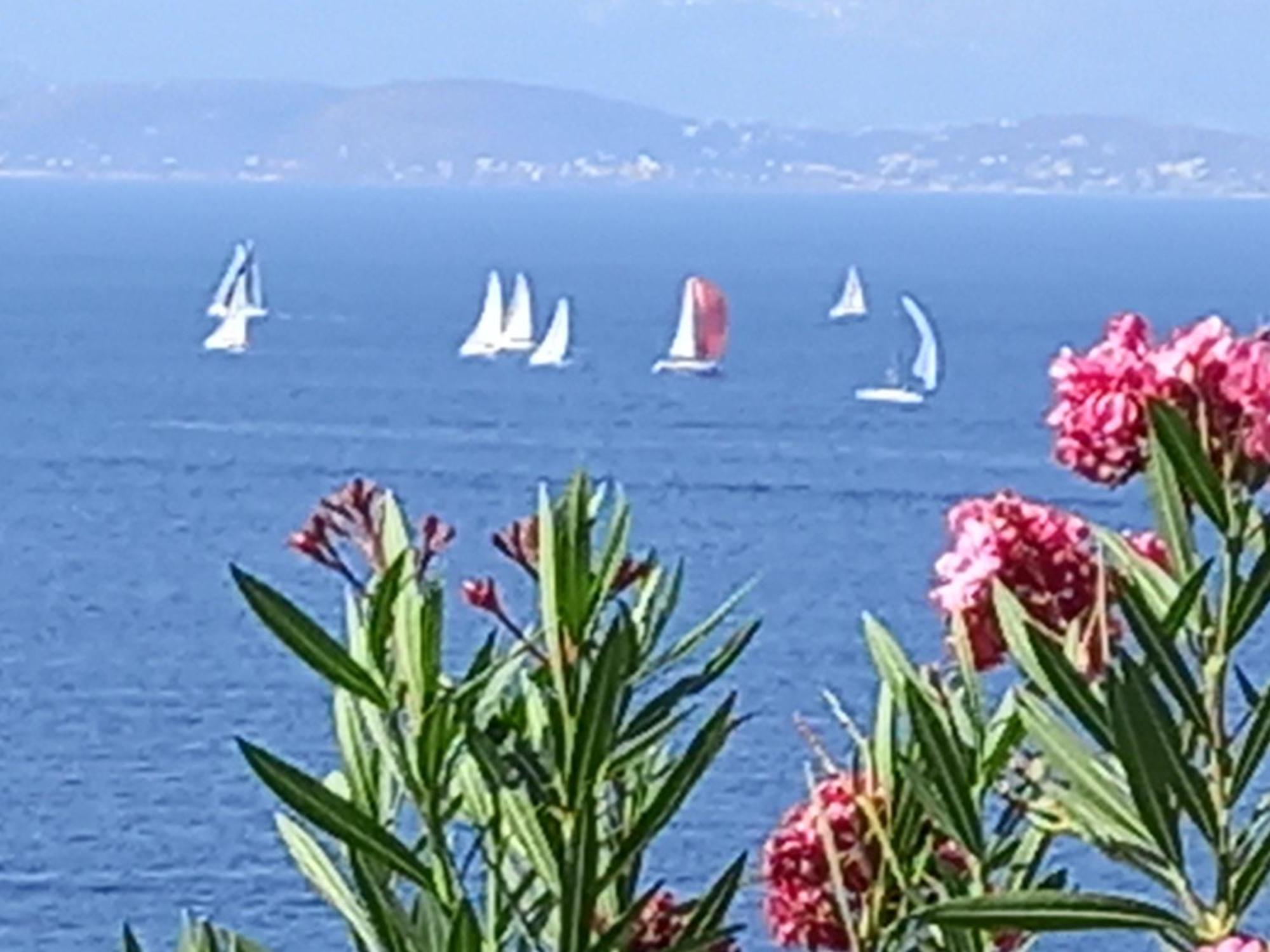 Çeşme マヴィ パノラマヴィラ エクステリア 写真