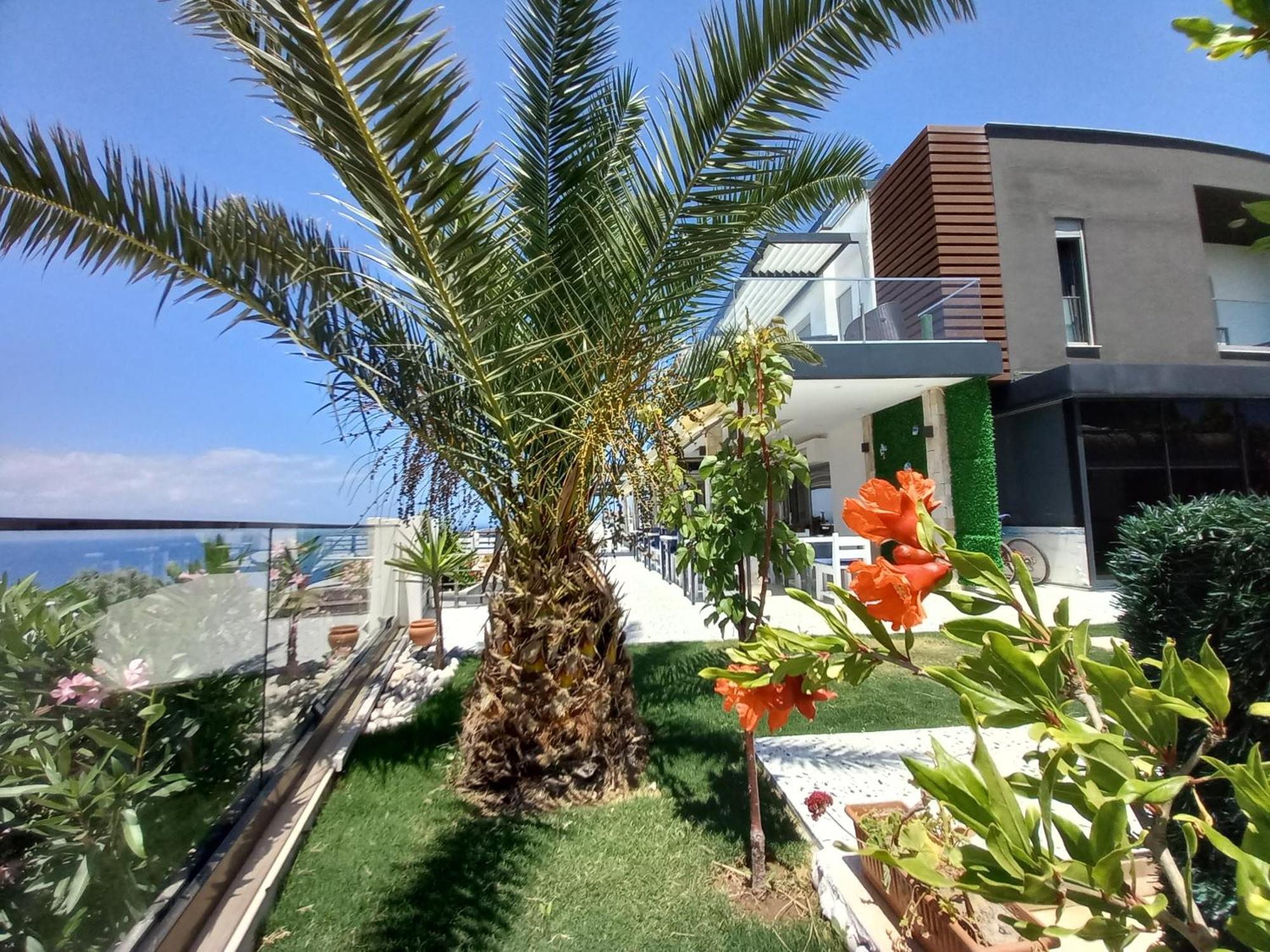 Çeşme マヴィ パノラマヴィラ エクステリア 写真